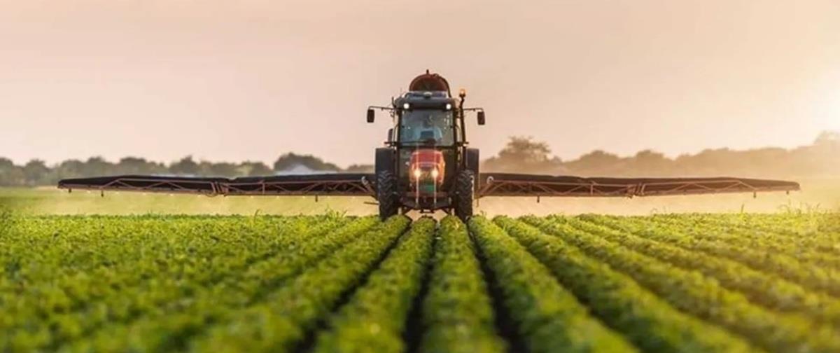 5315040570309845 georgoi-.-