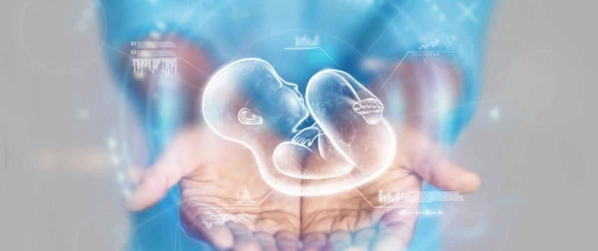 5315122413240211 230928102020 ipogonimotita