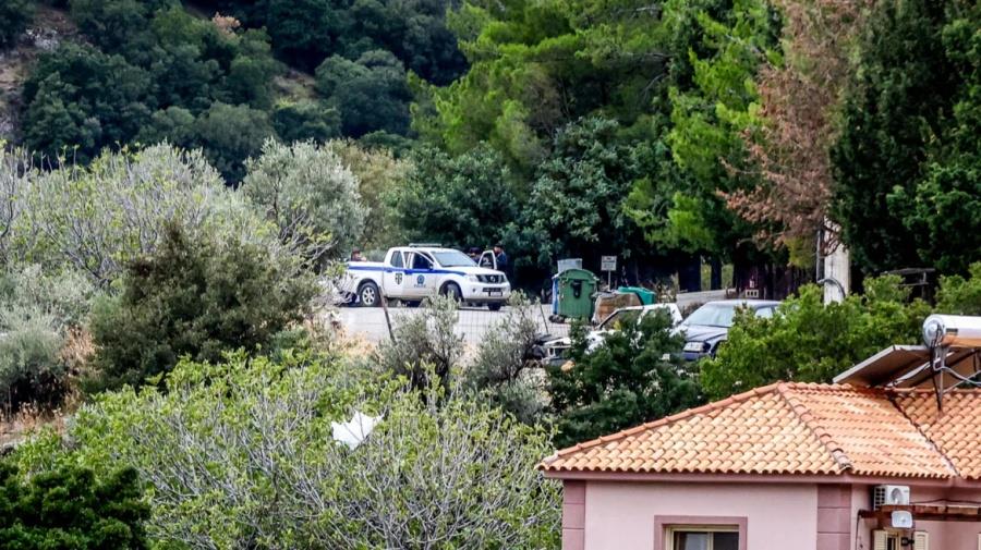 5315128221159822 vorizia  16 