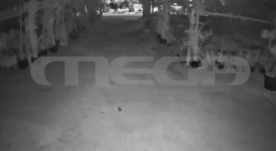 5315239540796781 photo 2025-11-04 18-04-27