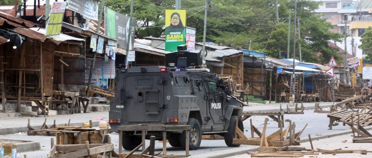 5315680178857252 cats