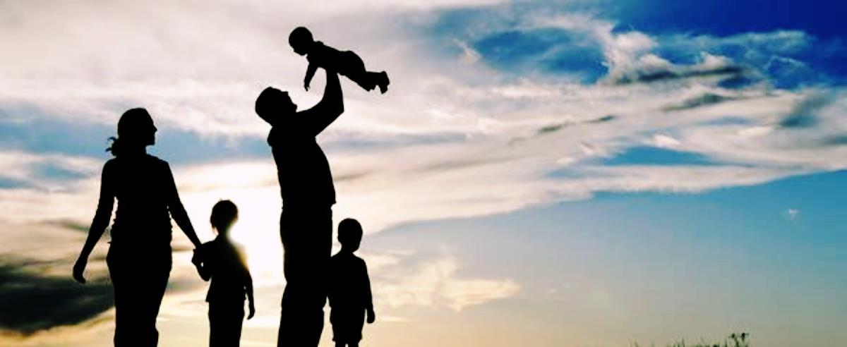 5315693349641904 cats