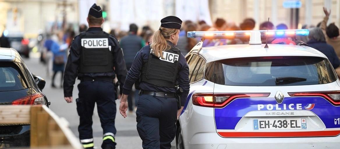 5315804671589857 cats