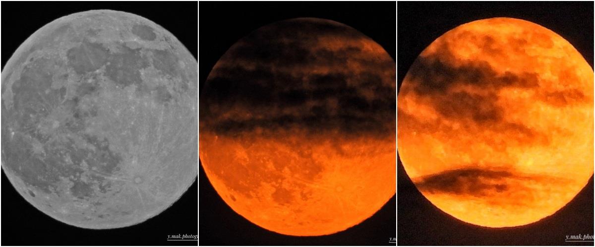 5316079519613820 collage1