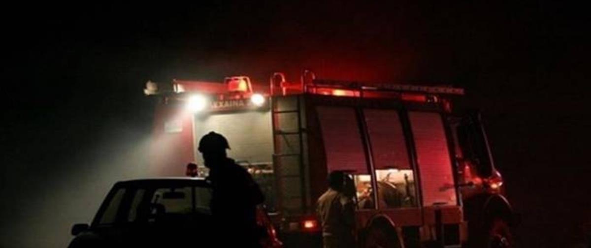 5316448338279863 cats