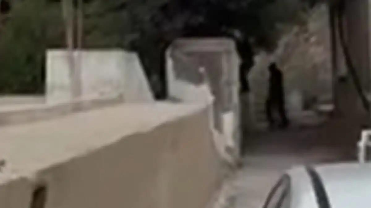 5316480996097190 image