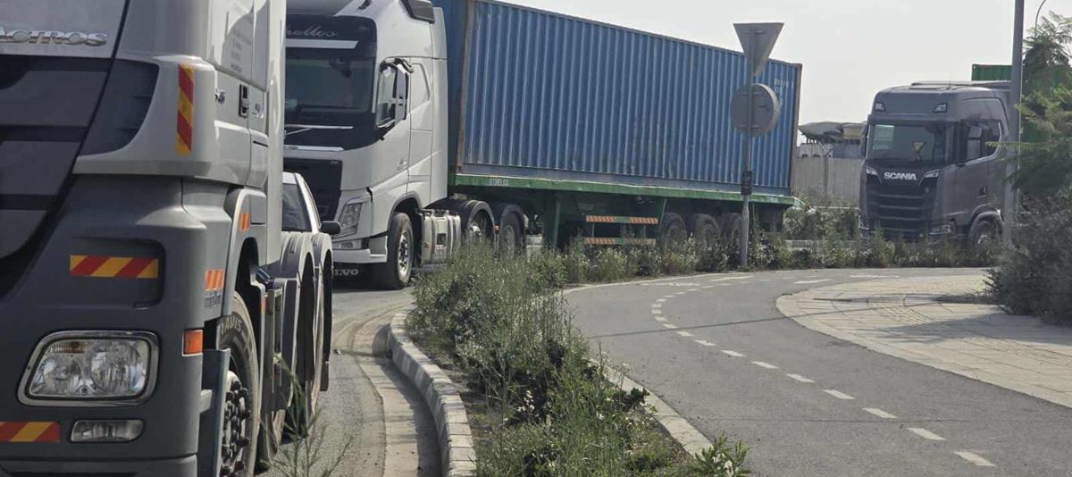 5316597833054540 cats