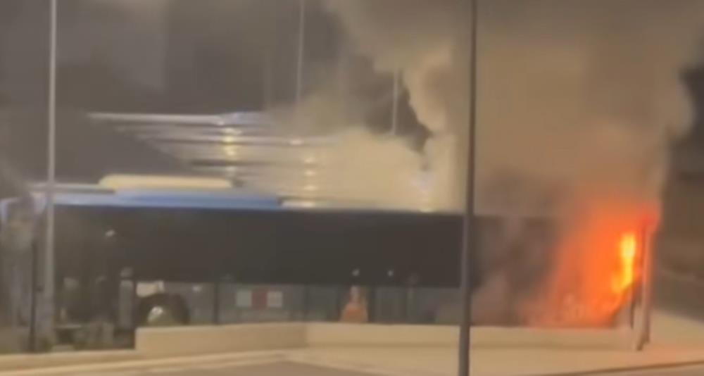 5316765498891530 image