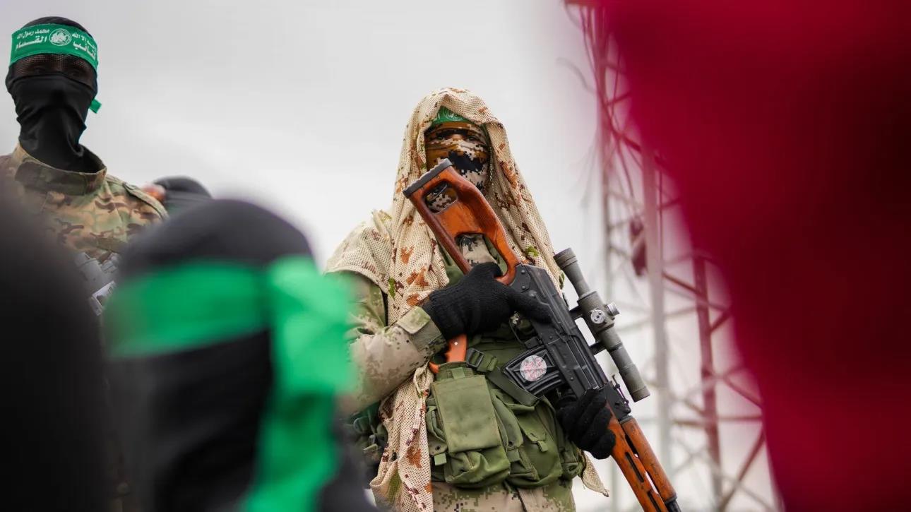 5316811279782943 image