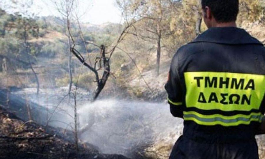 5316879142244236 b tmima dason