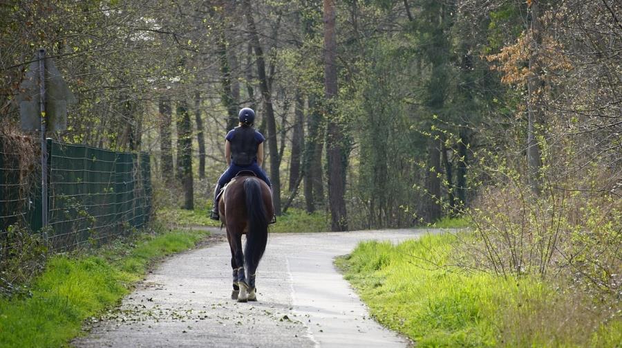 5317353728162203 horseback-riding-7113177 1280