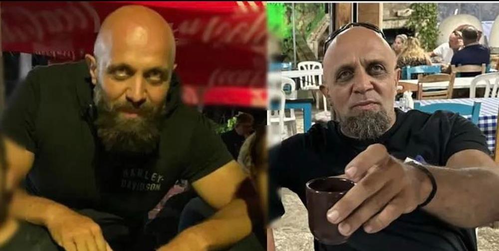 5317780146441616 cats