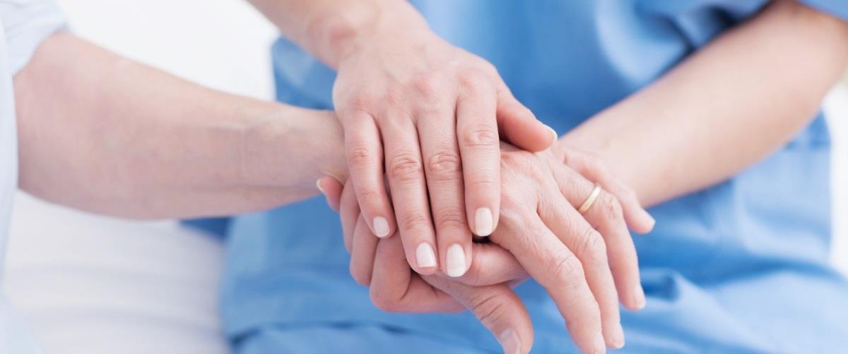 5317707504149632 nosileftes