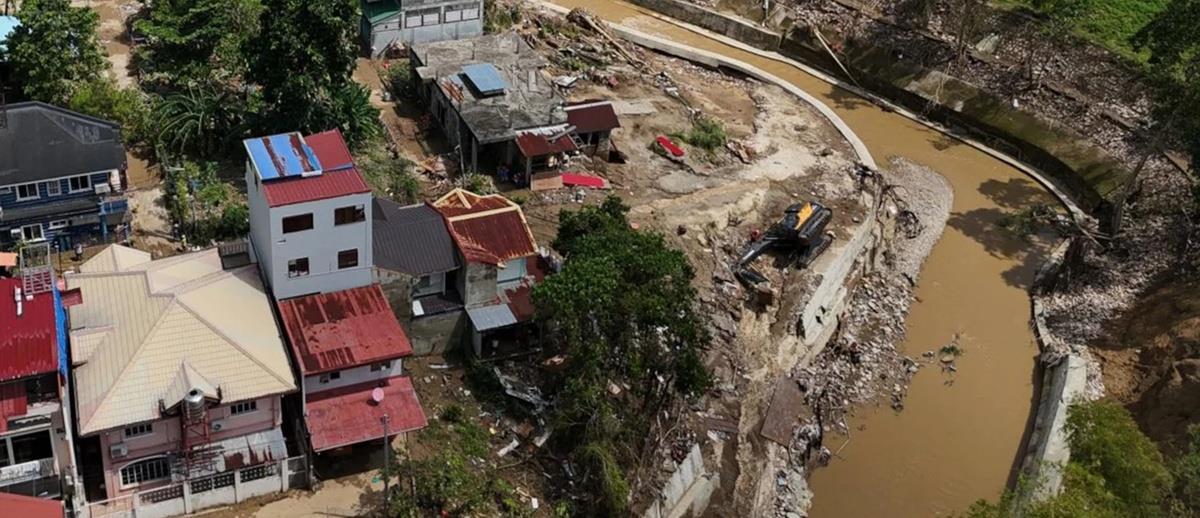 5319118891244380 cats