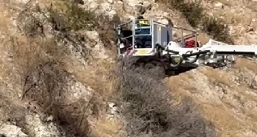 5319219624748629 cats