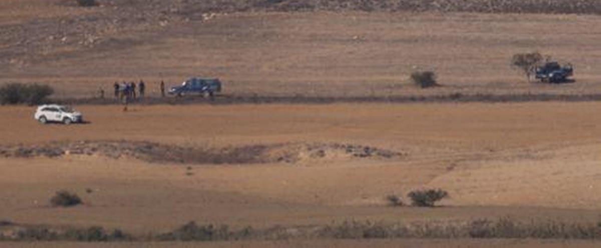 5319329205095011 cats