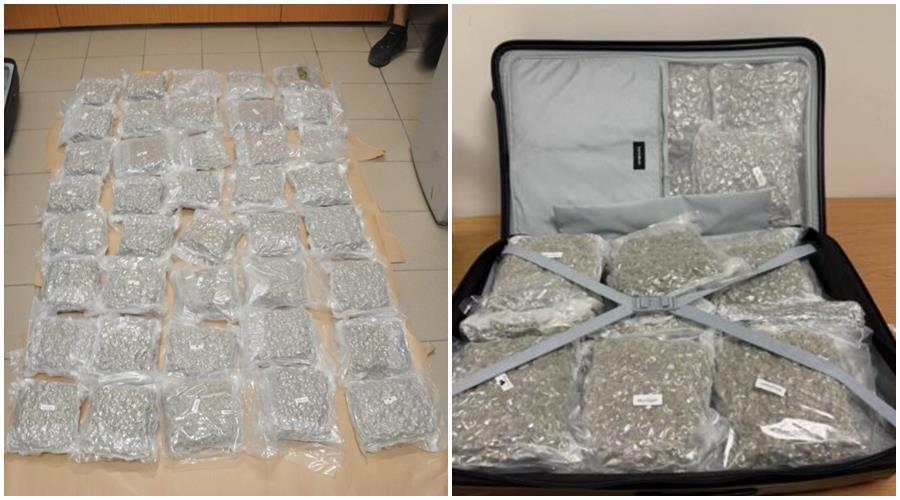 5320051683905211 cache 1300x500 Analog medium 1320394 278145 25 08 20 072302