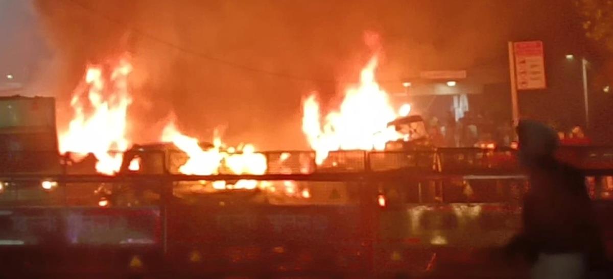 5320270987721403 cats