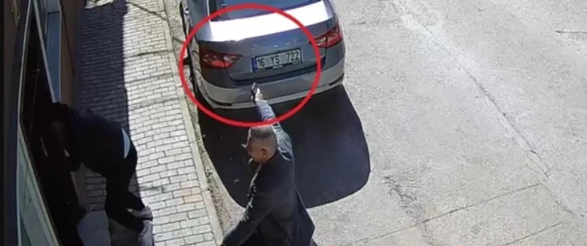 5320919866862256 cats