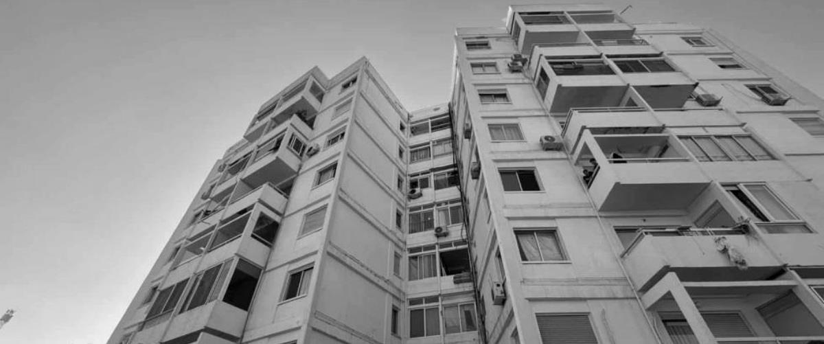 5321149722076976 image