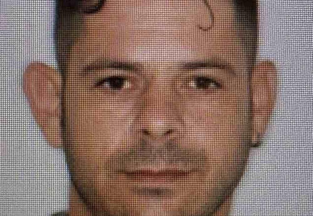 5321843553857864 cats