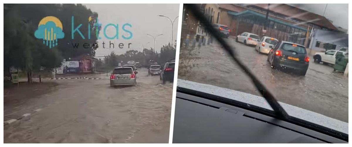 5321920211855964 collage