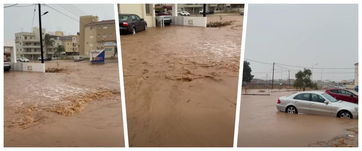 5321951477983272 collage