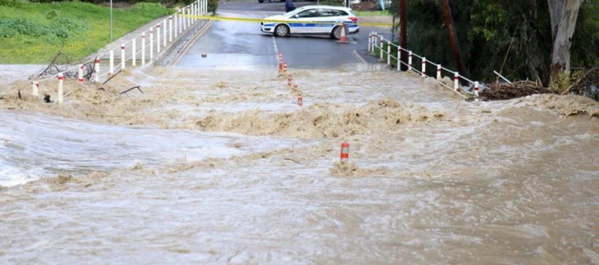 5322561583490400 cats