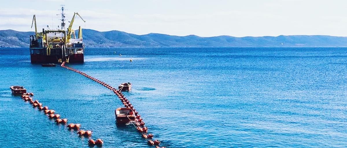 5322638854518698 cats