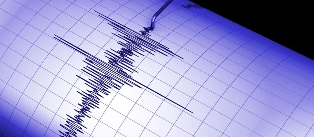 5322652355397411 cats