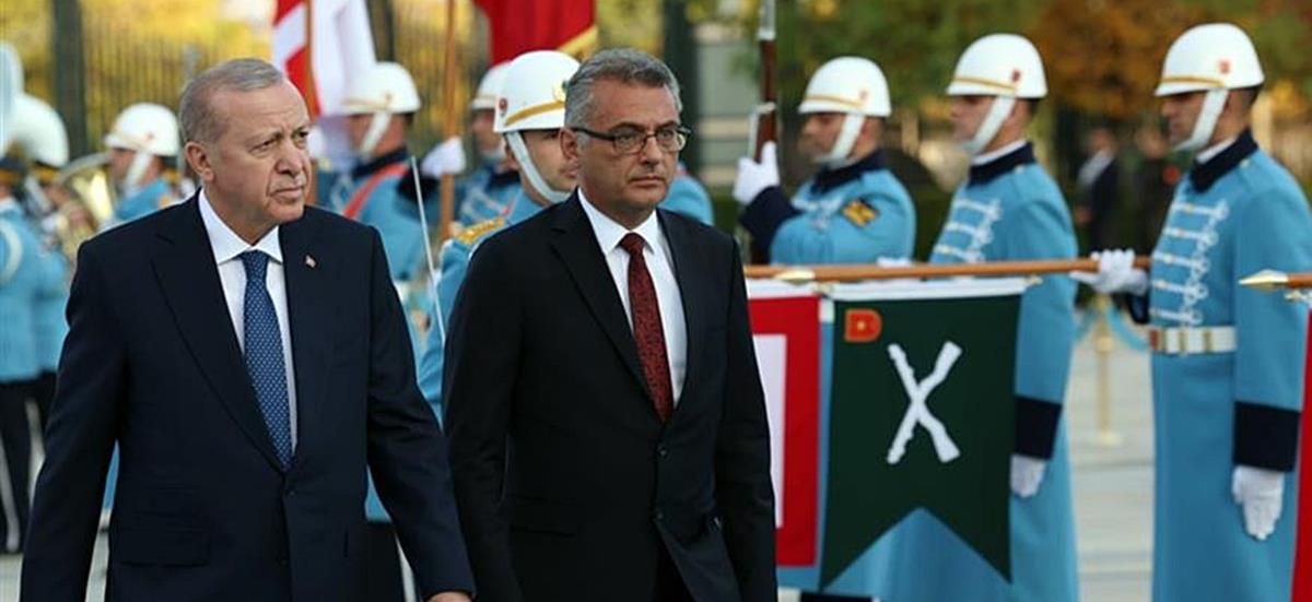 5323398413366771 cats