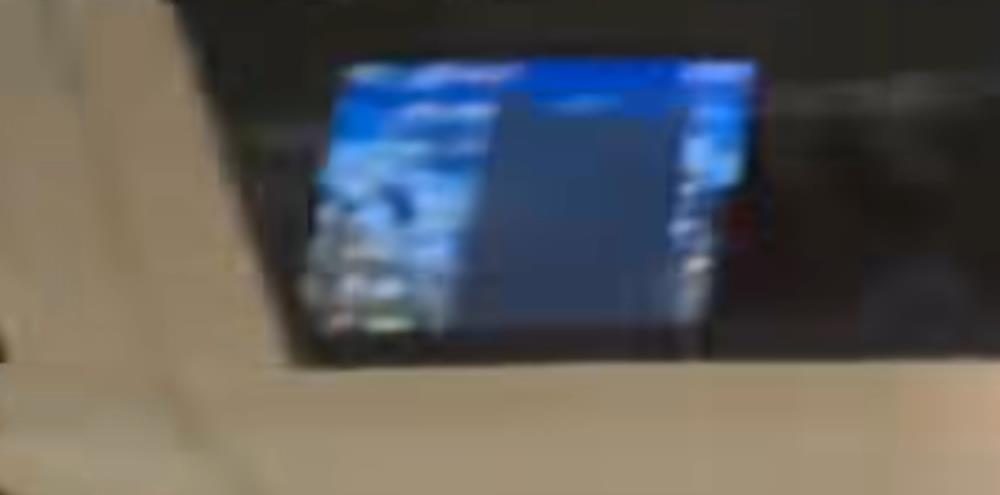 5323464352225004 cats