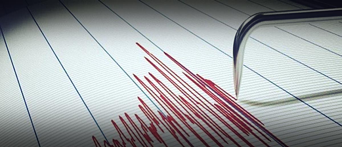 5323615505574921 cats