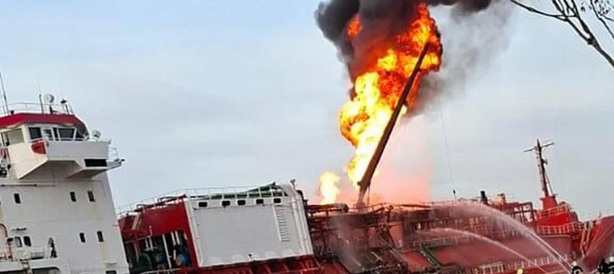 5326341604593162 cats