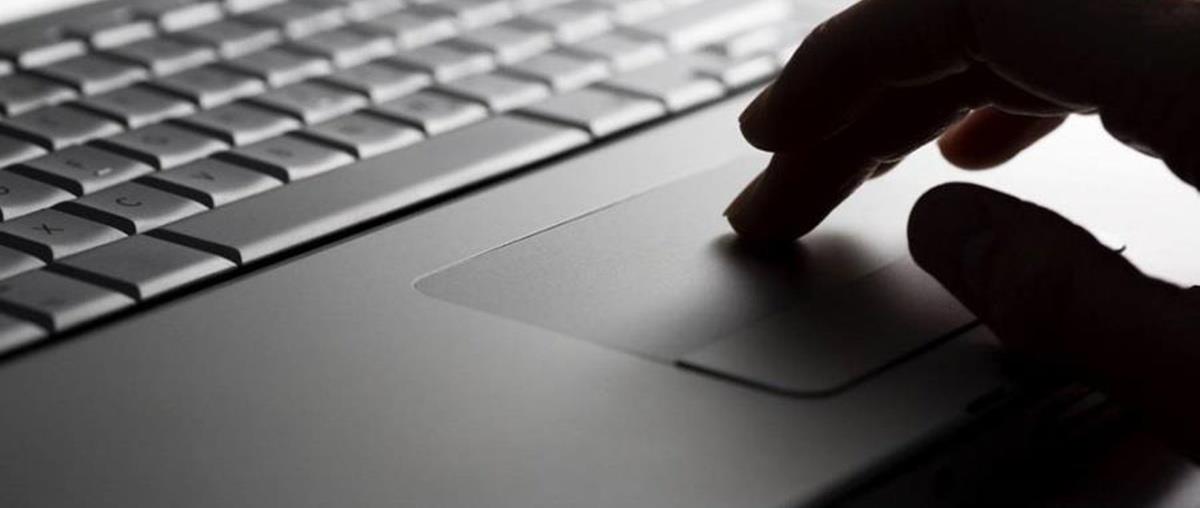 5326368131020990 cats