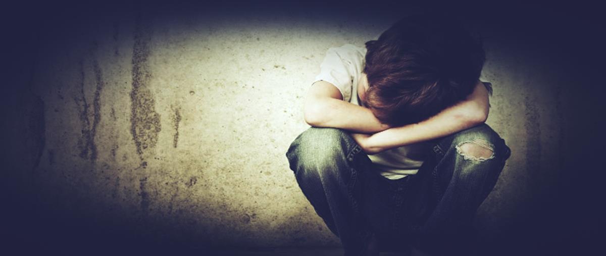 5326926511166634 cats