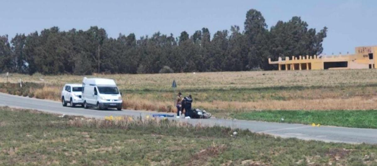 5327023270062723 cats