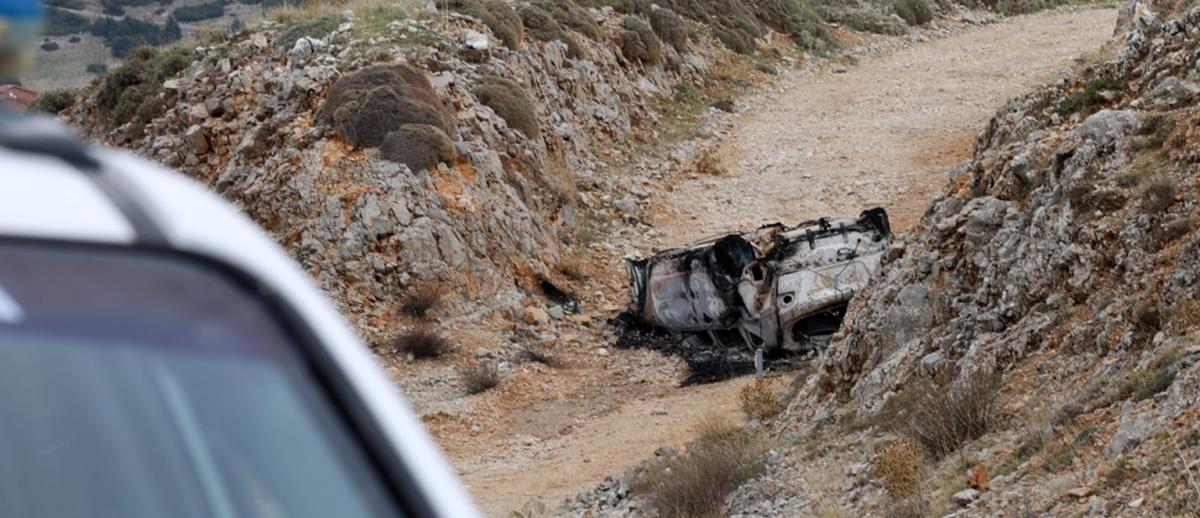 5327911911971563 cats