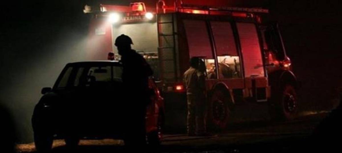 5328554855685234 cats