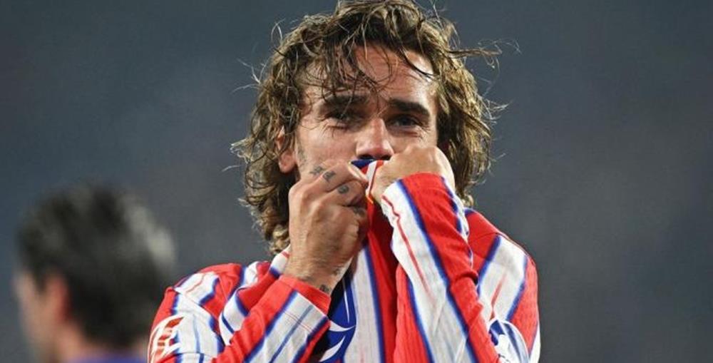 5328594114293019 image