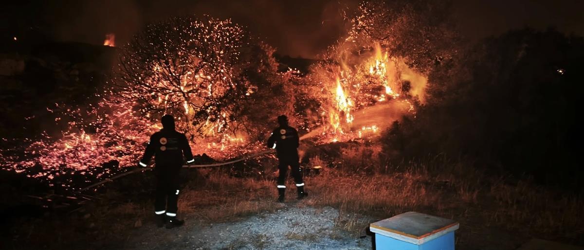 5328836647055577 image