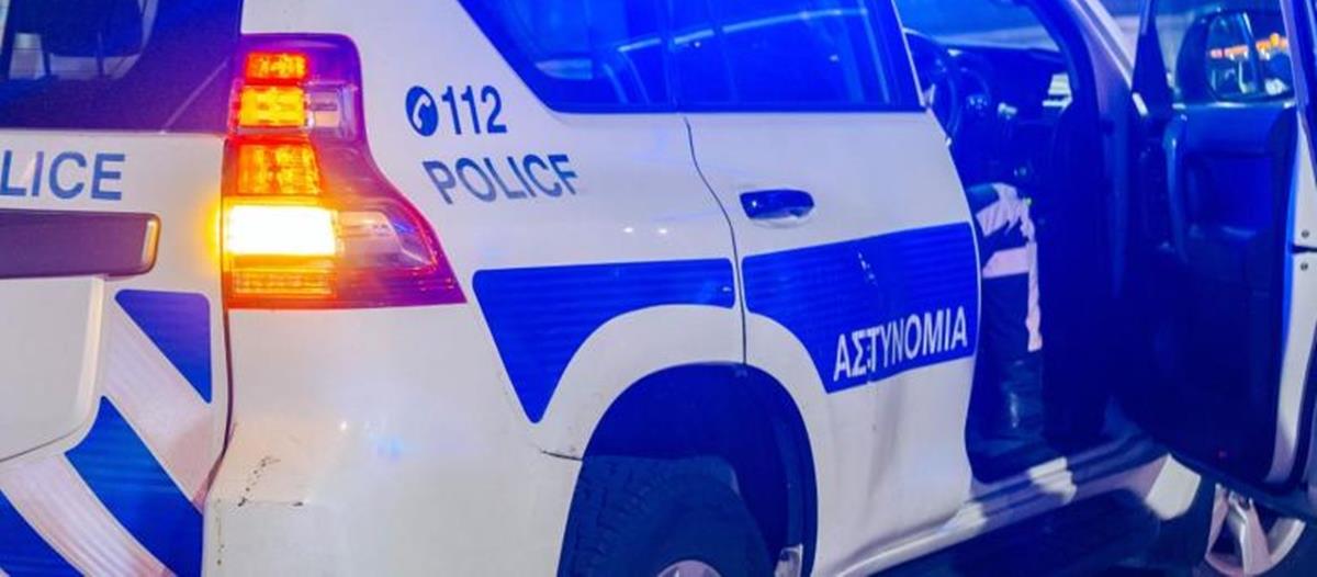 5329409401776531 cats