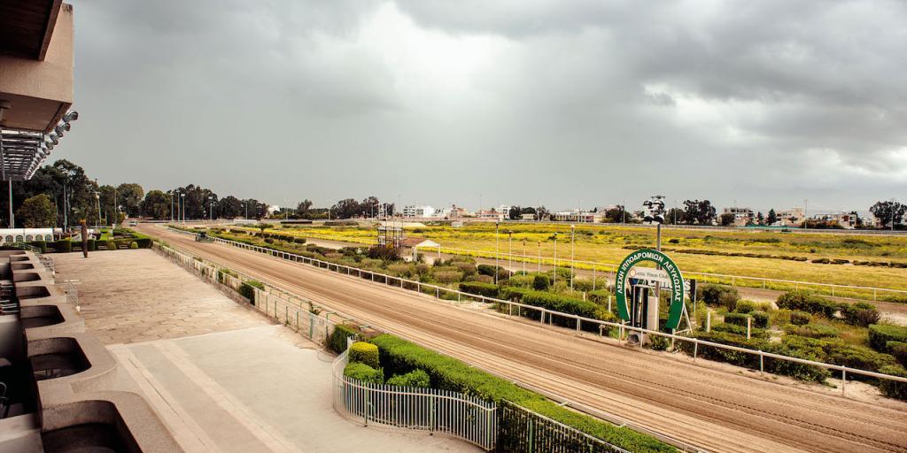 5329595305565905 hadjiminas-13