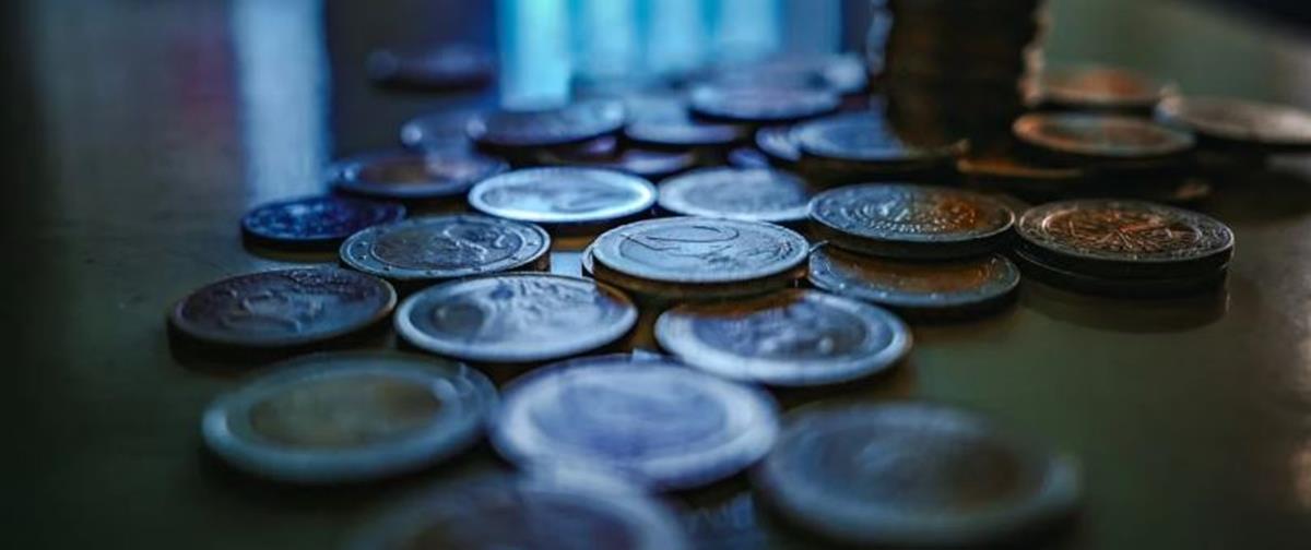 5329610770893957 cats