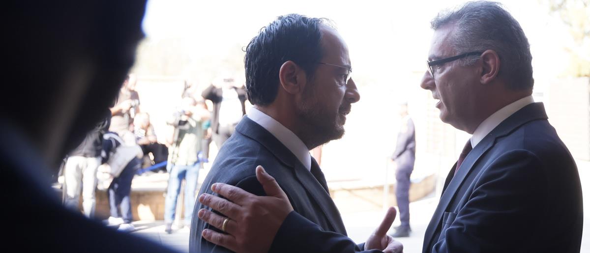 5330409602813919 cats