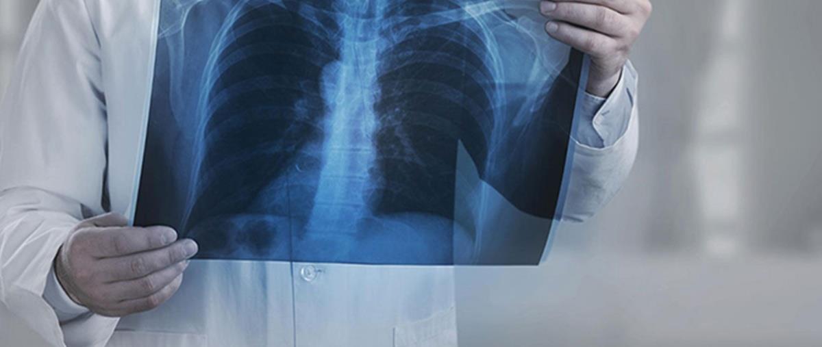 5330542645272347 cats