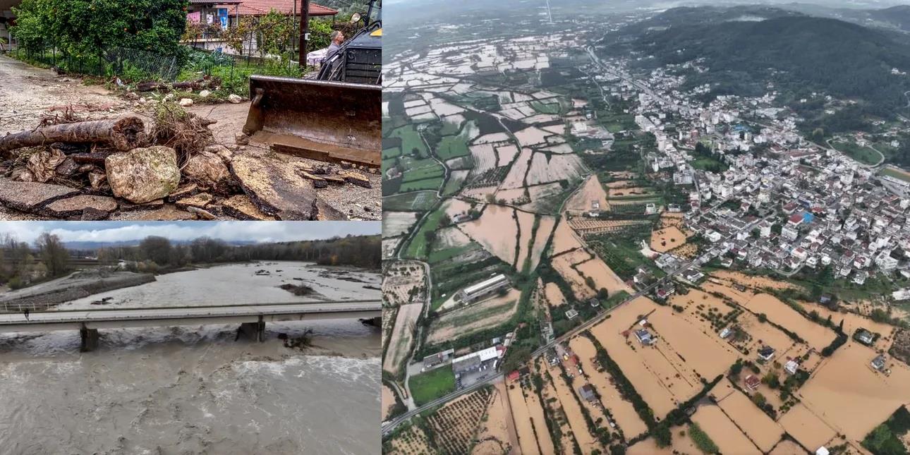 5330701434412206 image