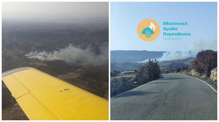 5331289681232259 collage