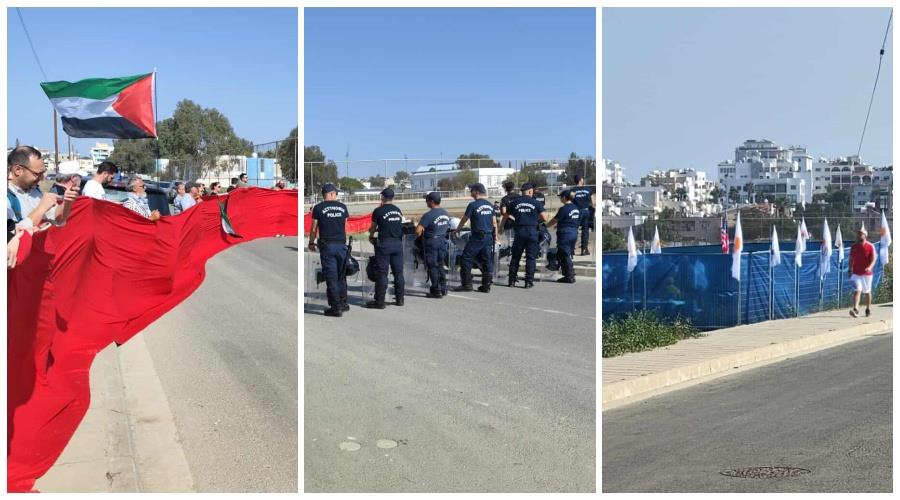 5331304073208651 collage