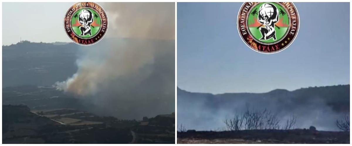 5331390479802646 collage